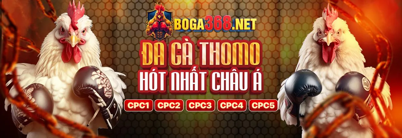 Đá Gà Trực Tuyến soxo66 Link Mới